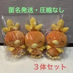 BANDAI＊ポケットモンスター もふぐっとぬいぐるみ〈アチャモ〉３体セット