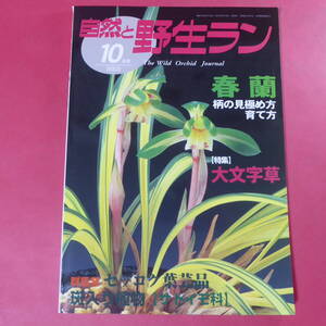 YN4-241219☆自然と野生ラン 2003年10月号　※ 春蘭 大文字草 セッコク ※ 園芸JAPAN