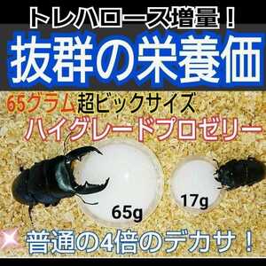 超ビックサイズ！特大65g【30個】ハイグレードクワガタゼリー　成分に拘わり抜いた最高峰　産卵促進・長寿・体力増進　カブトムシゼリー　