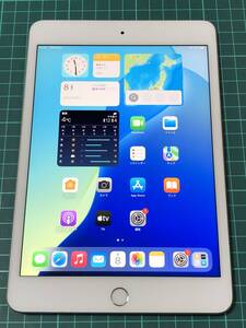 iPad mini5 WiFi+Cellular A2124 256GB 5th 充電206回 良品 初期保証有 送料無料 1円スタート