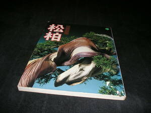 百樹百年　松柏　月刊 近代盆栽 別冊　昭和55年　五葉松　真柏　黒松　盆栽　