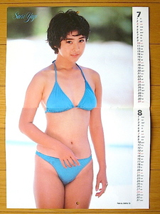 1988年 吉田真理子 南野陽子 斉藤由貴 小沢なつき 八木さおり 小川範子 カレンダー