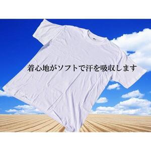 送料無料メール便 白無地Tシャツ LＬサイズｘ3枚 速乾 ピッチリ