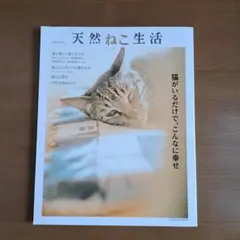 天然ねこ生活