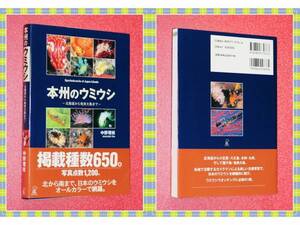 ●希少★本州のウミウシ―北海道から奄美大島まで 中野 理枝 g85