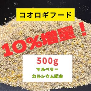 コオロギフード500gレッドローチにもどうぞ！マルベリーカルシウム配合