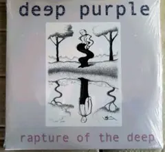 ディープ・パープル　rapture of the deep　アナログレコード