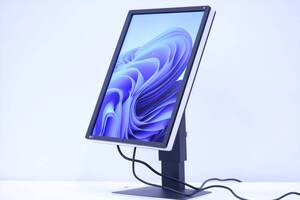 即配 使用893時間 21.3型 カラー液晶モニター 省スペース 医用 EIZO RadiForce RX250