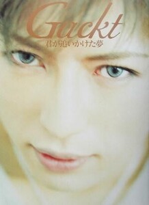 Gackt 君が追いかけた夢/ミュージアムミュージアム(著者),小林ばく