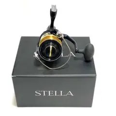 SHIMANO シマノ　20 STELLA ステラsw 20000 pg