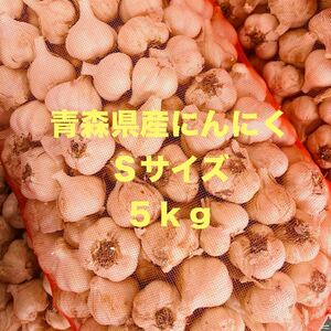 ニンニク　5kg 青森県産　福地ホワイト六片種　にんにく　Ｓサイズ