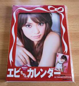 CanCam×EbiChan　2008　蛯原友里　エビちゃん　WEEKLYカレンダー　限定付録エビちゃんSpecialクリアファイル付き　新品