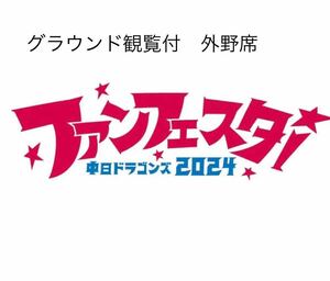 ドラゴンズ　ファンフェスタ 2024 バンテリンドーム　グラウンド観覧付外野指定席　チケット　1枚