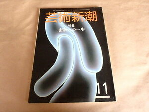 芸術新潮　1984年11月号　【特集】密教への一歩