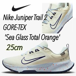 Nike Juniper Trail 2 GORE-TEX 