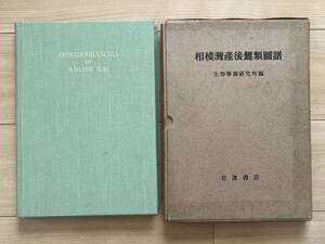 相模湾産後鰓類図譜 生物学御研究所編 ウミウシ