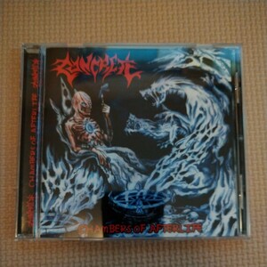 CONCRETE Chambers Of Afterlife デスメタル DEATH METAL autopsy bolt thrower atheist dismember derketa grotesque infection carcass