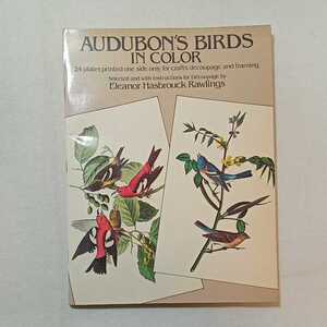 zaa-280♪Audubon