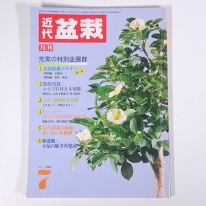 月刊 近代盆栽 No.105 1986/7 近代出版 雑誌 盆栽総合誌 園芸 ガーデニング 植物 特集・全国出張ドクター かえで石付き ぶな・4年間 ほか