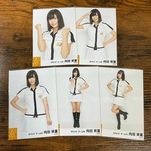 SKE48 向田茉夏 2012 01 チームKII 生写真 コンプ 