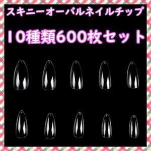 スキニー オーバル クリアネイル チップ 600枚 クリア 0号 9号