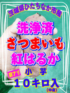 令和6年度収穫　洗浄済さつまいも【紅はるか】小芋　10kg　◆弁当　おかず　煮物　大学いも　業務用 干しいも　丸干し