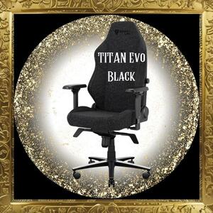 ☆未使用☆ Secretlab シークレットラボ TITAN Evo Black ゲーミングチェア Sサイズ 黒