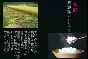 100円スタート!　売り切り!　令和6年度 京都産コシヒカリ 玄米10㎏