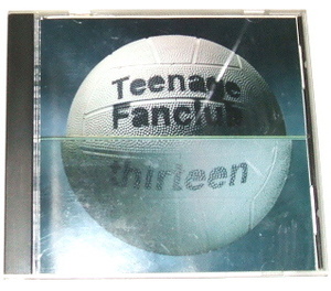 TEENAGE FANCLUB /thirteen ~ティーンエイジ・ファンクラブ ギターポップ