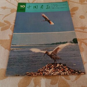 中国画報　1981年10月号　珍鳥トキ