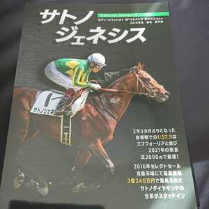 サトノジェネシス 種牡馬パンフレット 優駿スタリオンステーション 送料無料