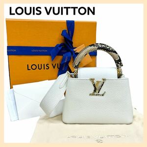 美品 箱保存袋付き 定価968,000円 LOUIS VUITTON ルイヴィトン カプシーヌMINI LVイニシャル パイソンレザー 2way ハンドバッグ N98477