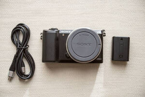 SONY α5000 ボディ (ILCE-5000) (シャッター3255回) / 中古