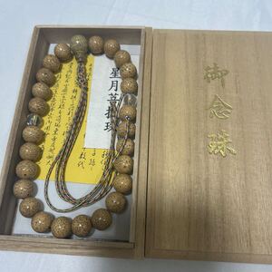 保管品 【念珠】【天竺菩提樹】 威儀具 仏具 法具 寺院 袈裟 僧侶 仏教美術 法衣 袈裟 