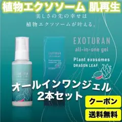 【世界初★植物エクソソーム】EXOTURANオールインワンジェル100ml 2本