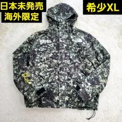 【海外限定】XL ノースフェイス　ゴアテックス　マウンテンパーカー