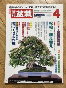 ■雑誌「近代盆栽」2003年4月号