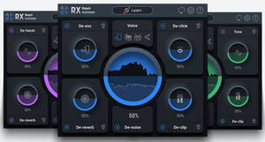 正規品 iZotope『RX 10 Elements』ホームスタジオのためのオーディオリペアツール DTM ボカロ 歌ってみた tiktok