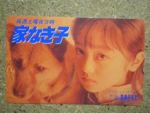 adati・安達祐実 日本テレビ 家なき子 犬 110-155055 テレカ