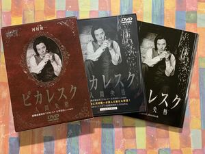 盤面美品【セル版】DVD ピカレスク 人間失格　豪華版 / 特典映像/ 河村隆一　さとう珠緒　とよた真帆 / 原作:猪瀬直樹/ 監督:伊藤秀裕/邦画