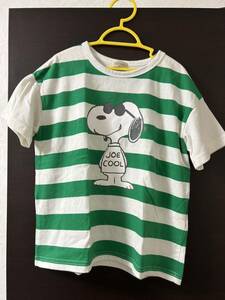 KP ニットプランナー、トロワラパン、スヌーピー SNOOPY／半袖Tシャツ、ボーダー／PEANUTS ピーナッツ／サイズ130