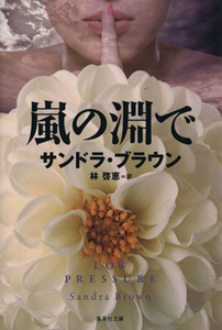 嵐の淵で 集英社文庫/サンドラ・ブラウン(著者),林啓恵(訳者)