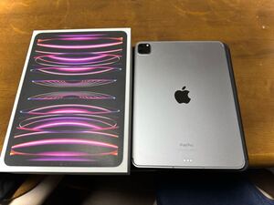 iPad Pro 11インチ 第4世代wifi+cellular 512GB SIMフリー