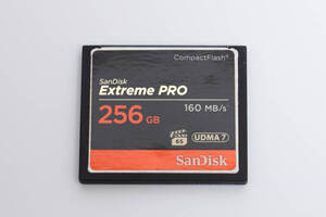 #24a SanDisk サンディスク Extreme PRO 256GB CFカード コンパクトフラッシュ 160MB/s UDMA7 / 64GB 128GB /