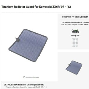 40%OFF★R&G Ｔitanium ラジエーターガード ZX-6R ZX6R 2007 2012 KAWASAKI カワサキ RAD0078RACINGTI