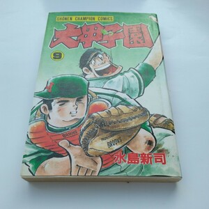 水島新司　 大甲子園　9巻（再版）少年チャンピオンコミックス　秋田書店　当時品　保管品