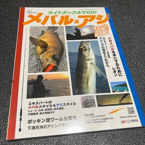 ライトタックルでGO メバル アジ 基礎 基本 教科書 海釣り 釣り方