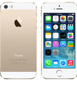 iPhone5s[16GB] docomo NE334J ゴールド【安心保証】