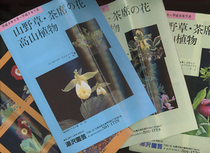 ■「山野草・茶席の花・高山植物」湯沢園芸カタログ　4冊 
