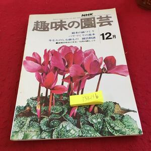 Y38-136 NHK 趣味の園芸 12月 庭木の鉢づくり バラづくりの基本 冬をたのしむ鉢もの 盆栽の手ほどき③ 庭しごと 昭和48年発行 ツバキ など